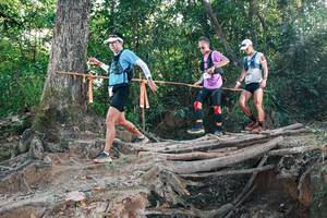 BIB: 
                            <button type="button" onclick="openModal(27305224)" class="btn btn-primary btn-sm float-right btn-popup" data-toggle="modal" data-target=".modal-high-quality">
                        <i class="fas fa-shopping-cart"></i> Add to Cart
                    </button>
                                            <button type="button" onclick="isThisMe(27305224, true)" class="btn btn-success btn-sm float-right btn-popup btn-isme hidden" data-toggle="tooltip" data-placement="bottom" title="นี่คือรูปของคุณใช่ไหม คลิกที่นี่เพื่อเอาเข้าอัลบั้ม">
                        <i class="fas fa-plus"></i> Add to album
                    </button>
                    <button type="button" onclick="isThisMe(27305224, false)" class="btn btn-warning btn-sm float-right btn-popup btn-isnotme hidden">
                        <i class="fas fa-ban"></i> Remove from album
                    </button>